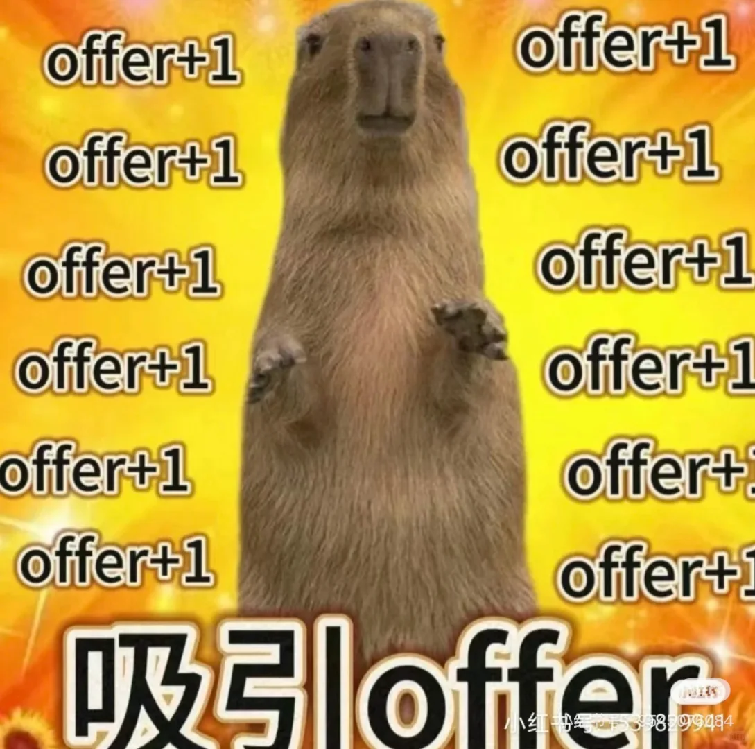 接offer强力版