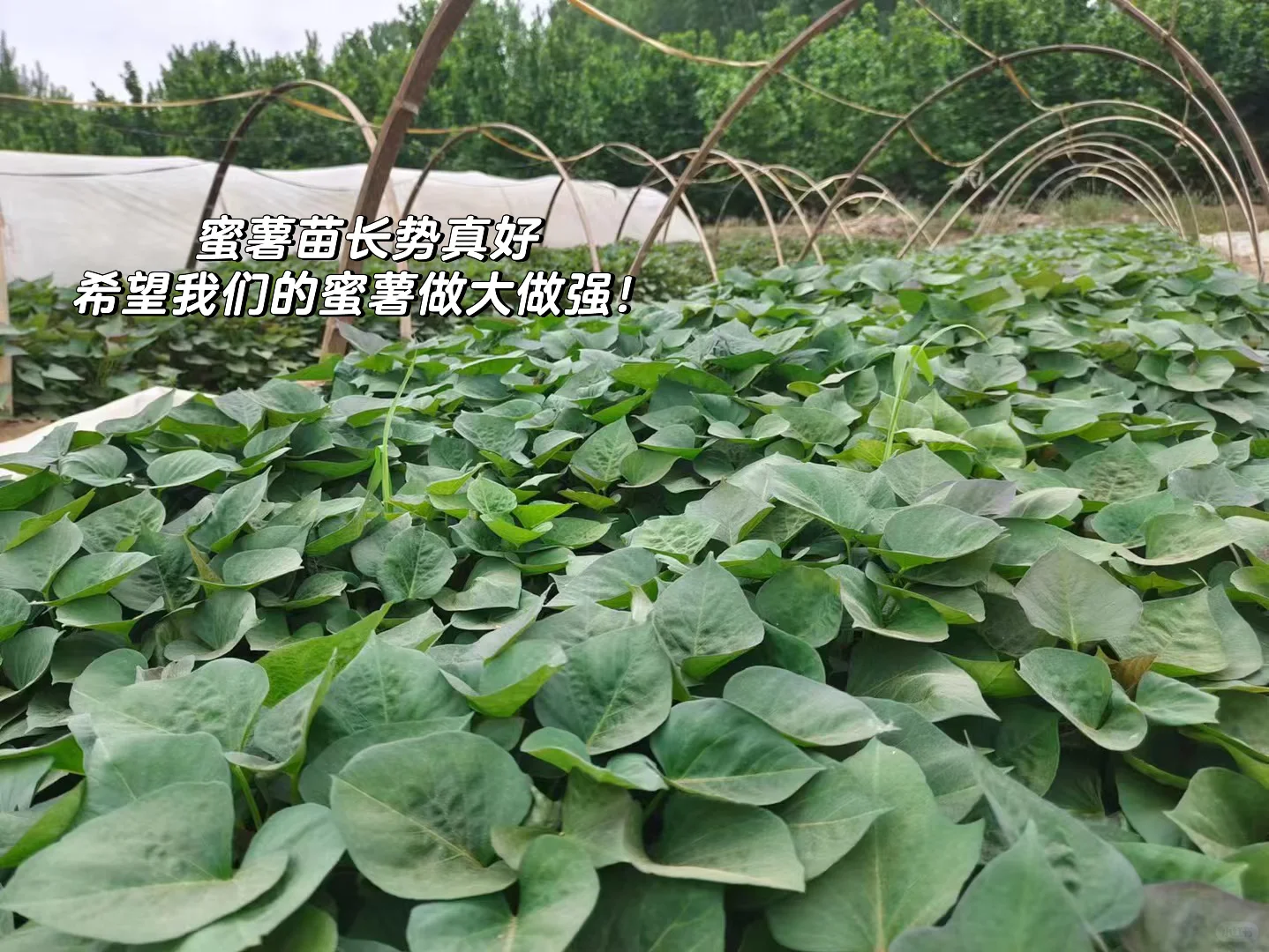 普通人返乡创业｜需要具备哪些技能‼️