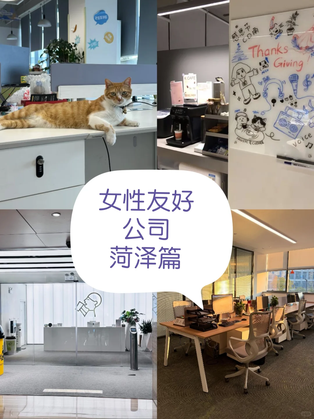 女性友好公司~菏泽篇~弹性工作~