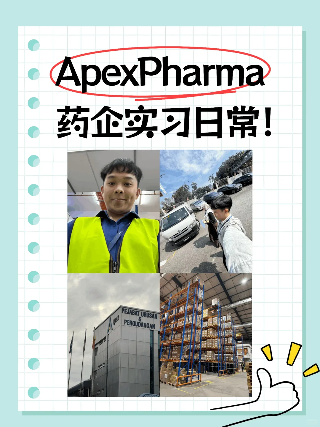 🇲🇾💊药企实习日常分享 | Apex Pharma