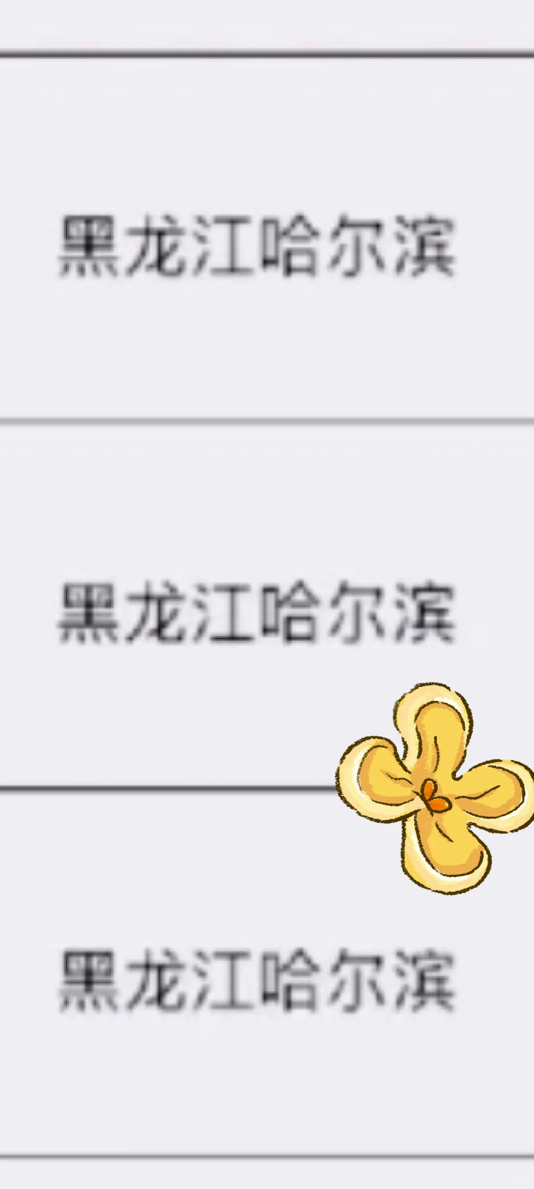 黑龙江哈尔滨来啦！