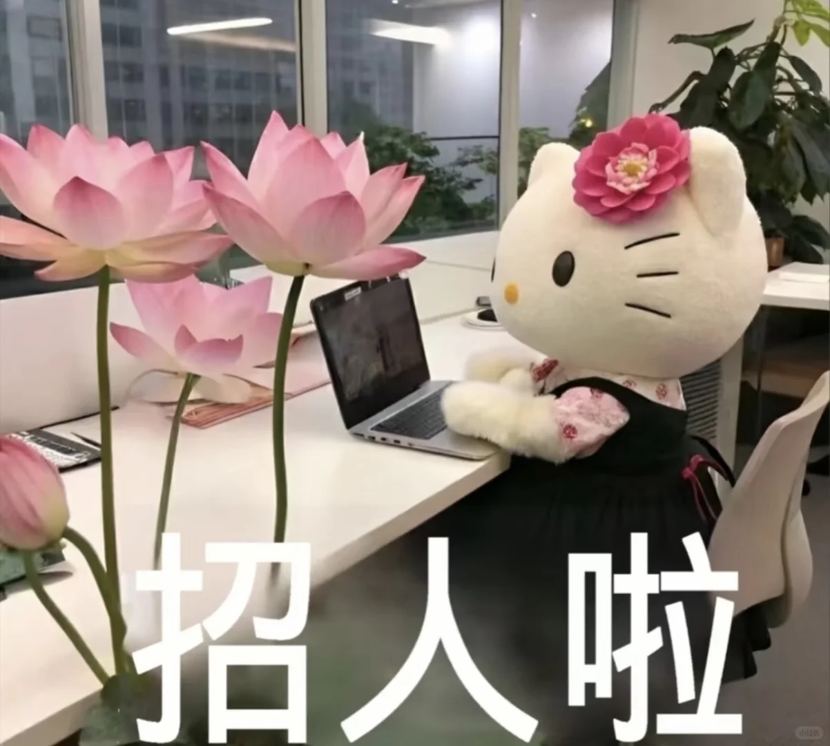 找工作的小姐姐看过来哟❗️
