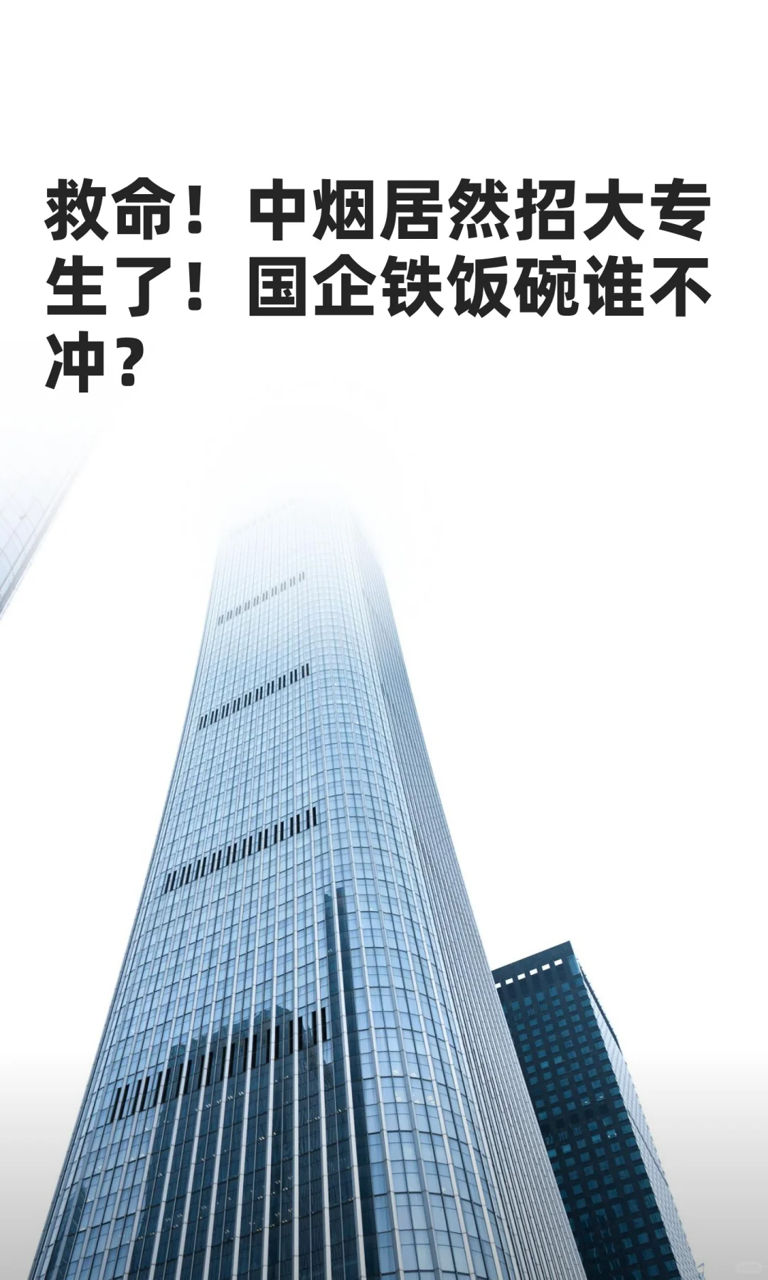 震惊! 这样的神仙工作居然要求这么低了?