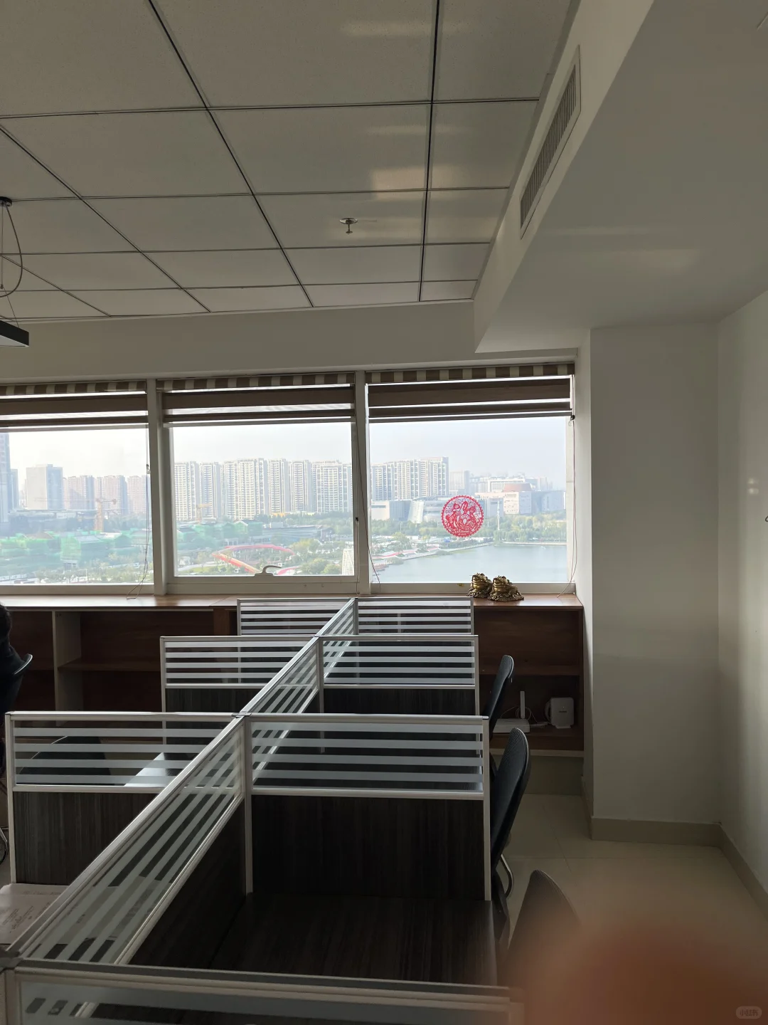 淄博张店新公司、新业务招聘💰💰