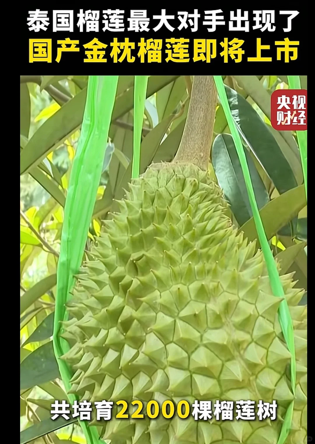 谁说学农人没前途的？农业没赛道找不到工作