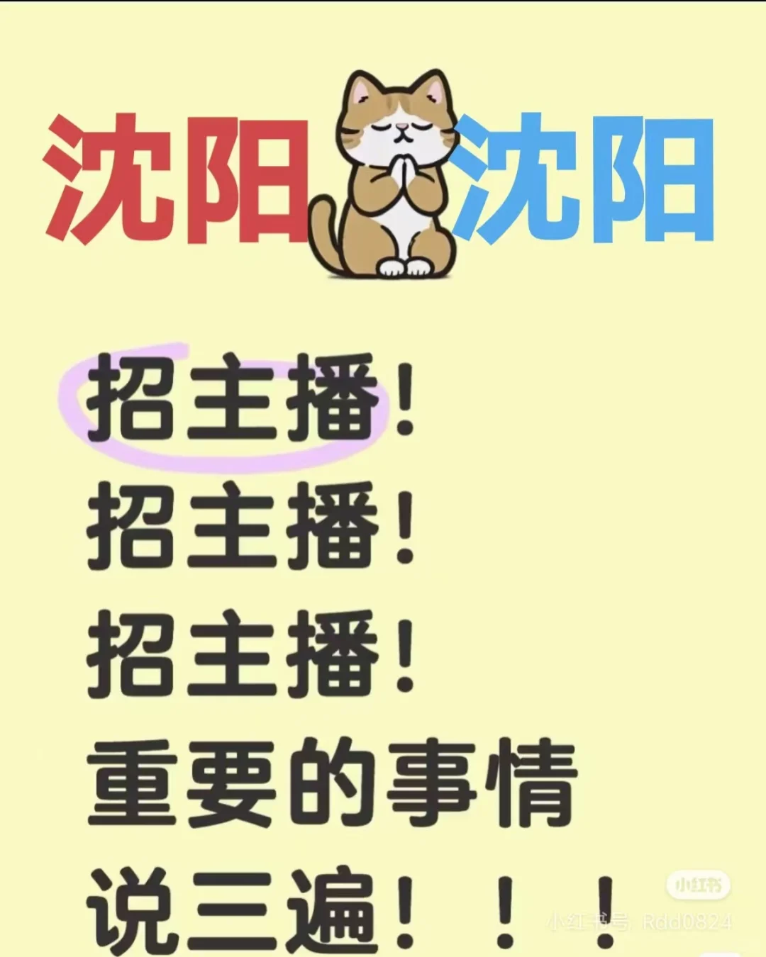 沈阳教育主播招聘