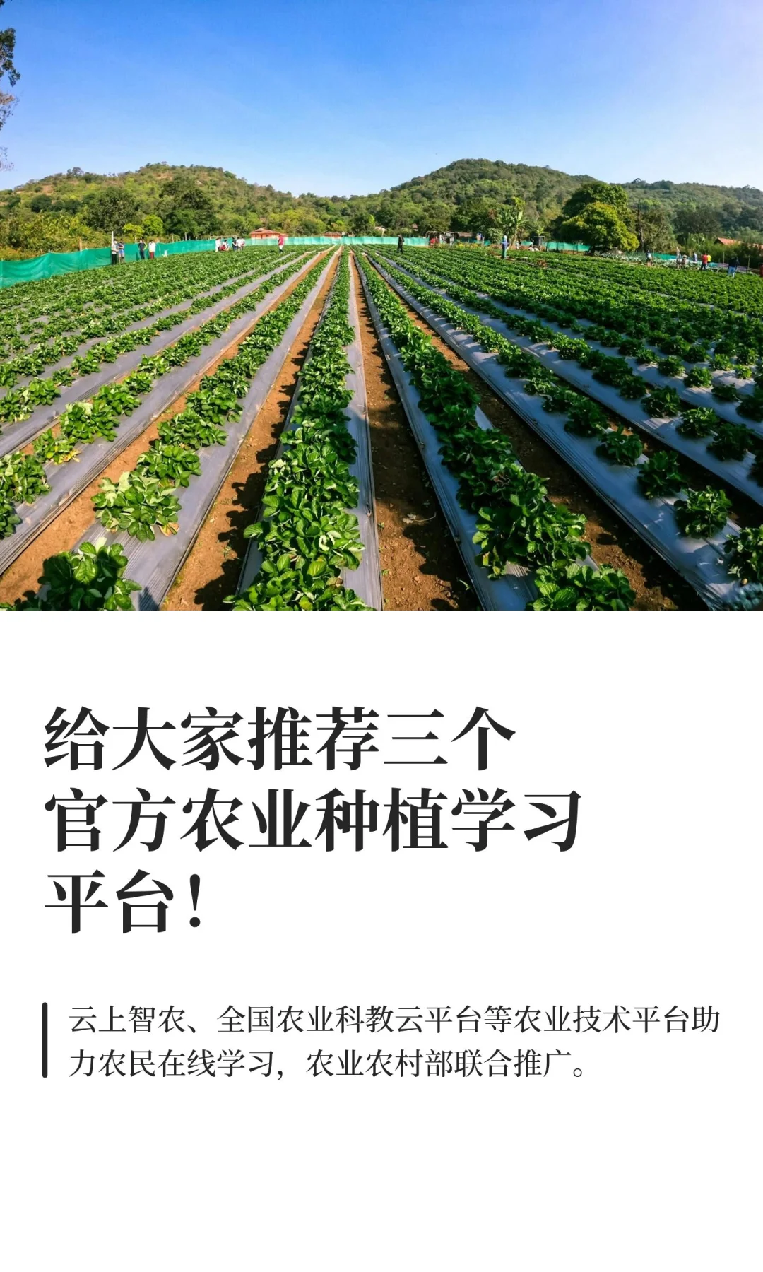 给大家推荐三个官方农业种植学习平台！