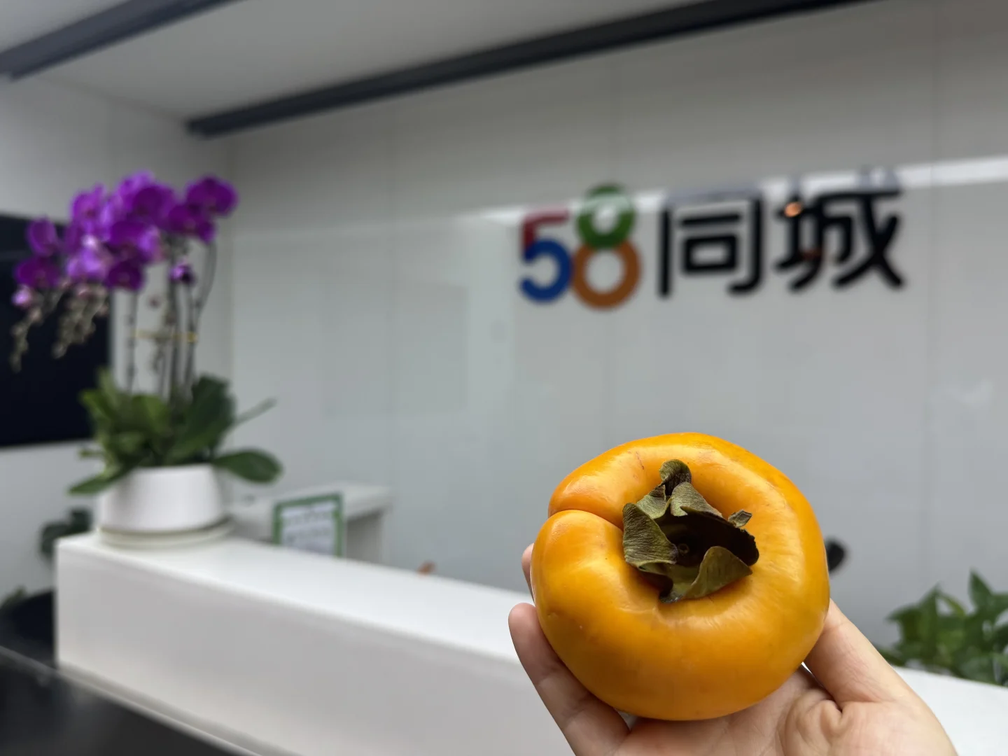 降温了，来大厂吹吹空调叭👀ฅʕ•̫͡•ʔฅ