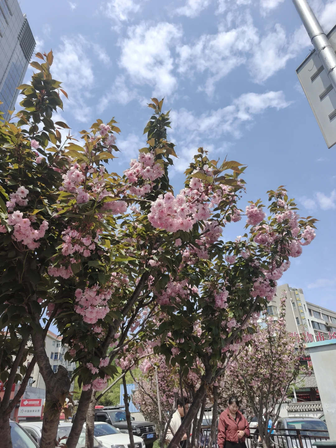 抚顺矿业工资咋样啊求助