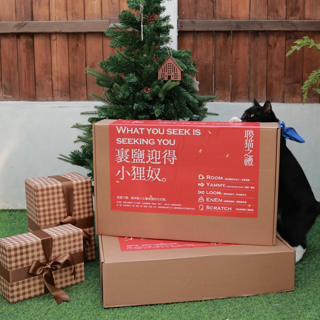 🐈聘猫之礼｜一场给猫主子的千年仪式✨