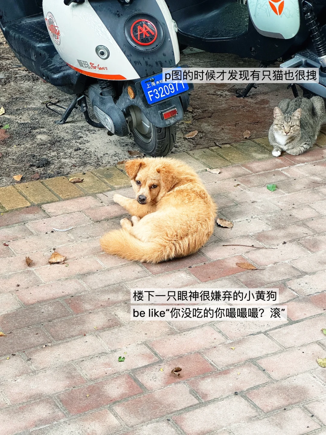 农学硕士来沪后3天找到工作😳