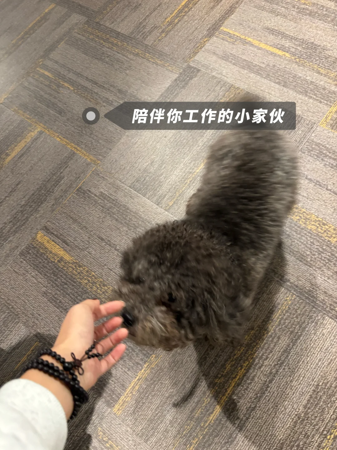 郑多燕直播基地终于招聘啦！📩
