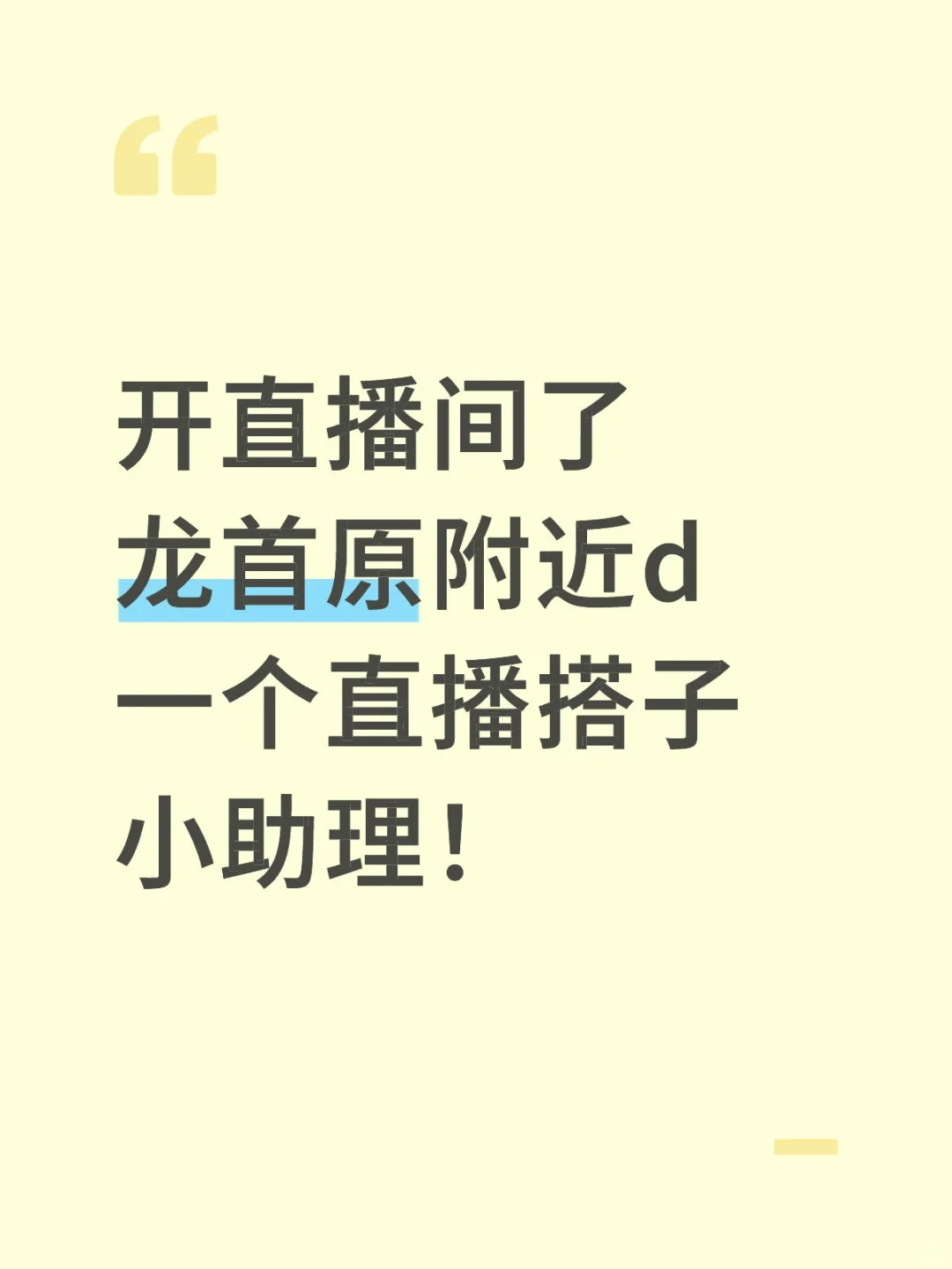 d一个直播小助理
