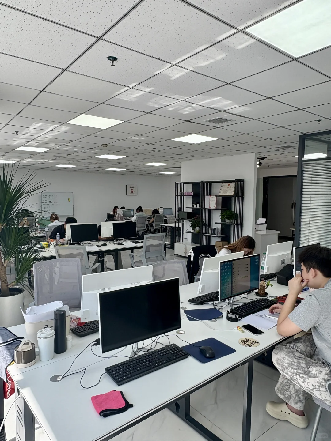 哈尔滨哈西专属于年轻人的公司
