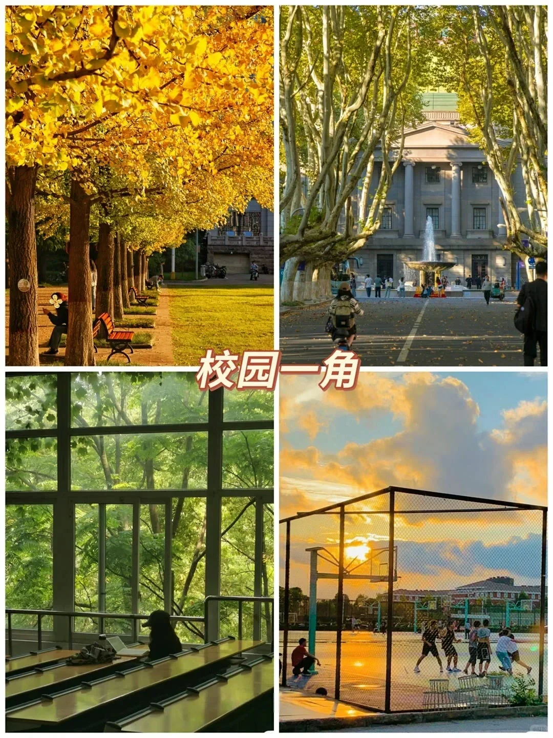 广州这所好美公办 高考100～350可读进广东最美中