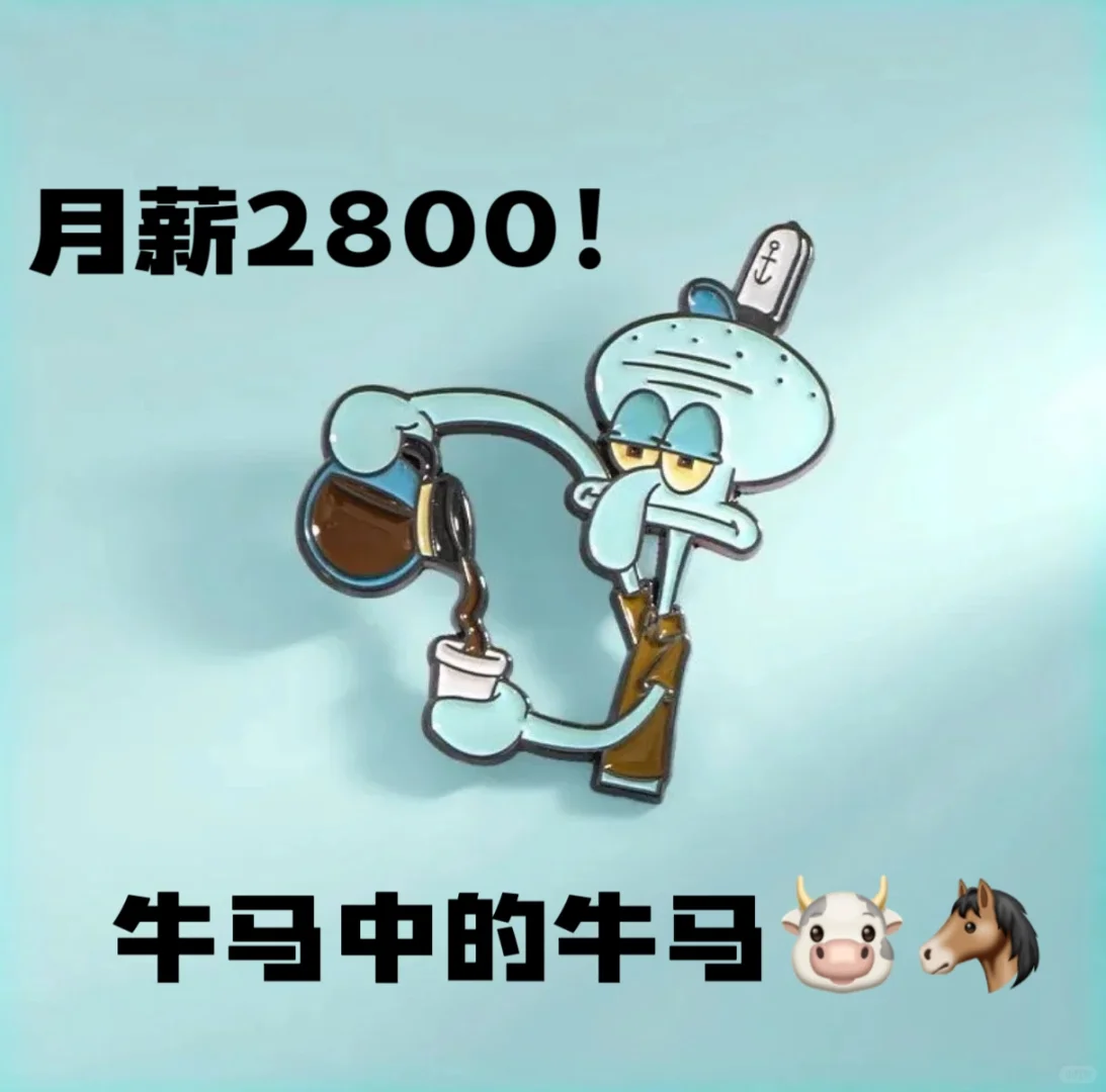 月薪2800，牛马中的牛马🐮🐎