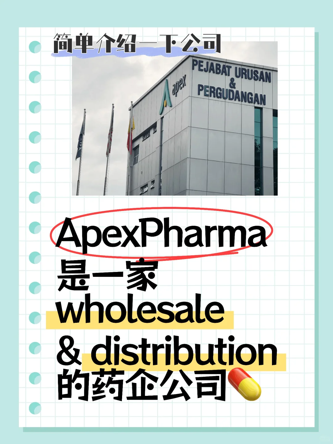 🇲🇾💊药企实习日常分享 | Apex Pharma