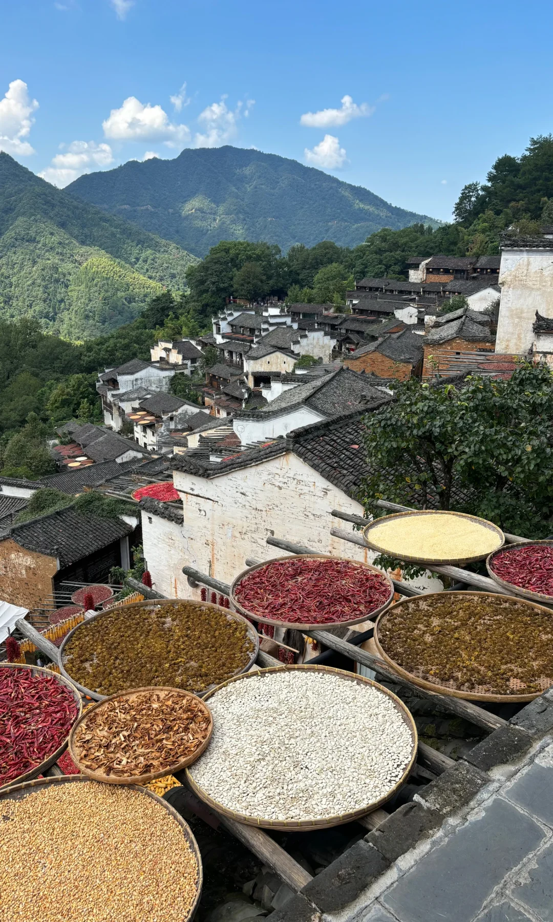 这篇帖子可能会限流，但我还是想说