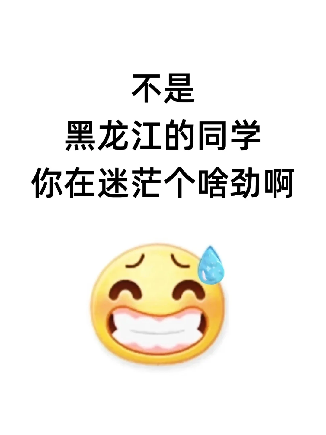 不是，黑龙江的考生，还迷茫个啥呀？