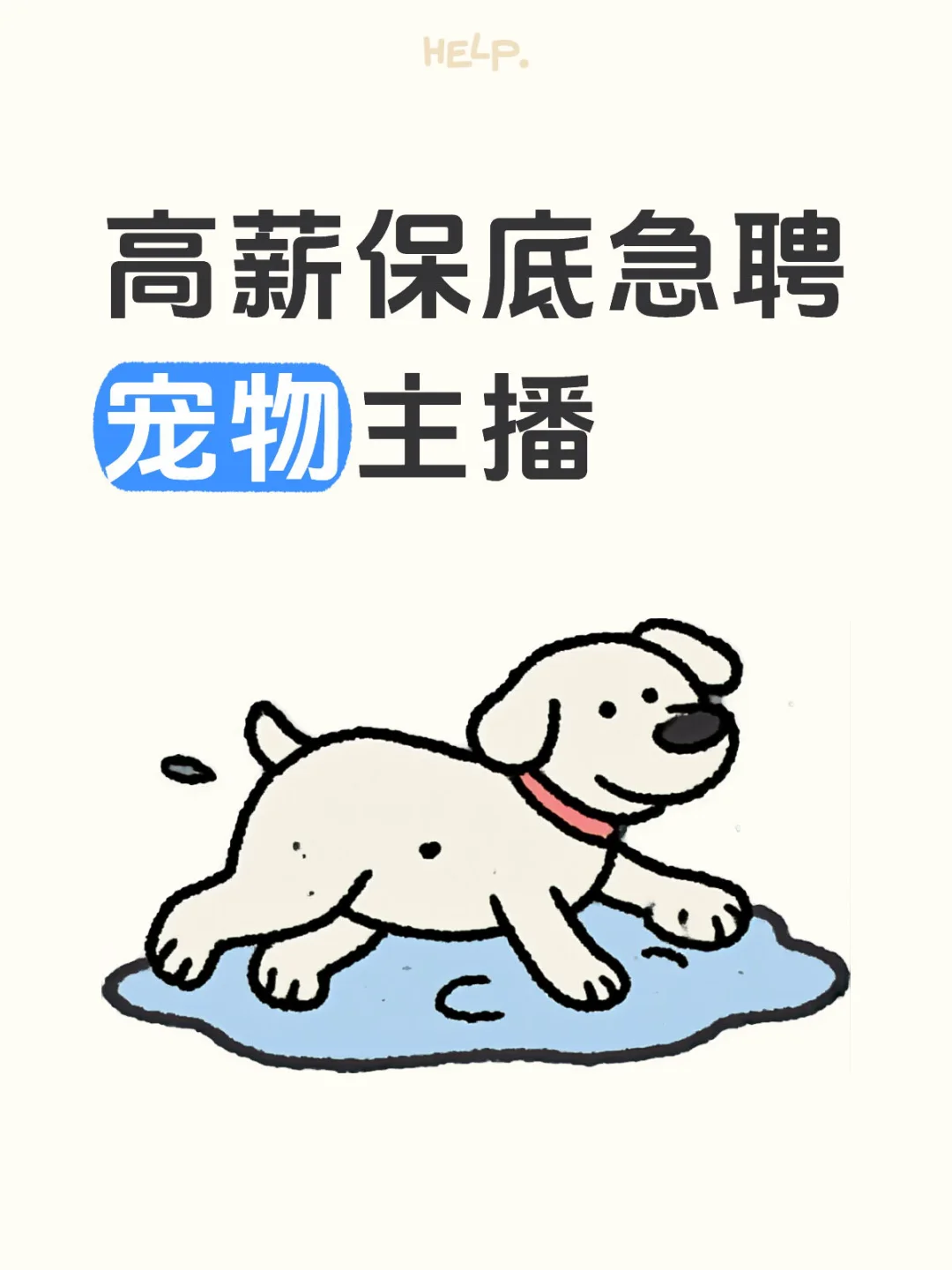 高薪保底急聘宠物主播