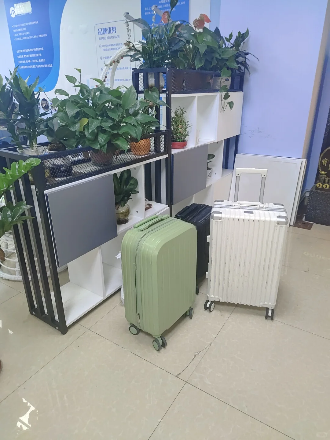 中山西区公司直招8k-12k工资十天一发