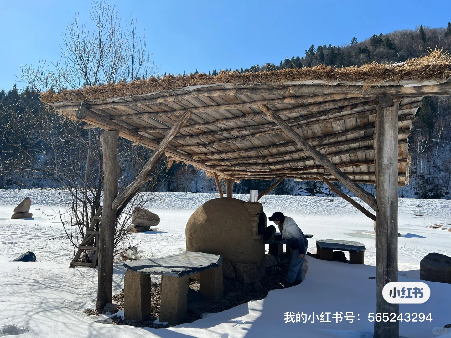 小兴安岭森林木屋招募义工或长期布草
