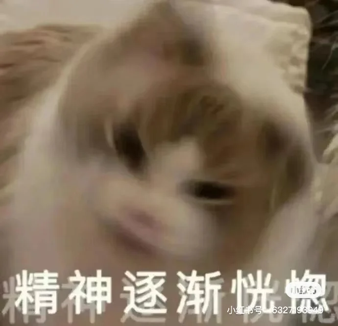 哈尔滨VS五常