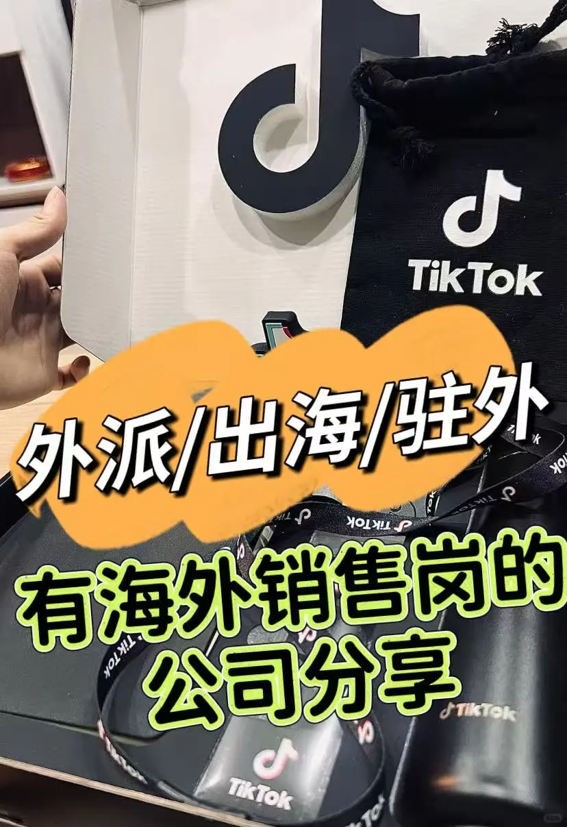 有外派/出海/驻外等海外销售岗位的公司分享