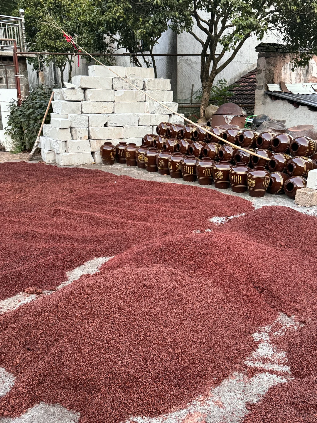 奋战两天5000斤高粱酒出炉咯