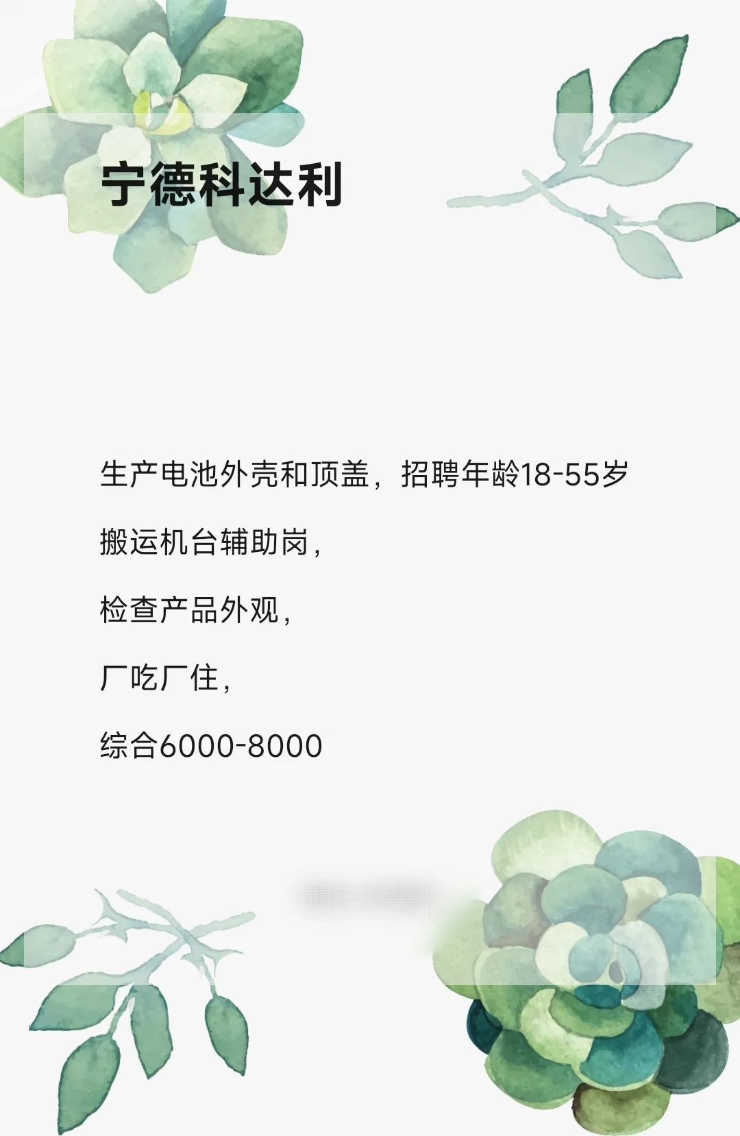 宁德科达利招人啦！