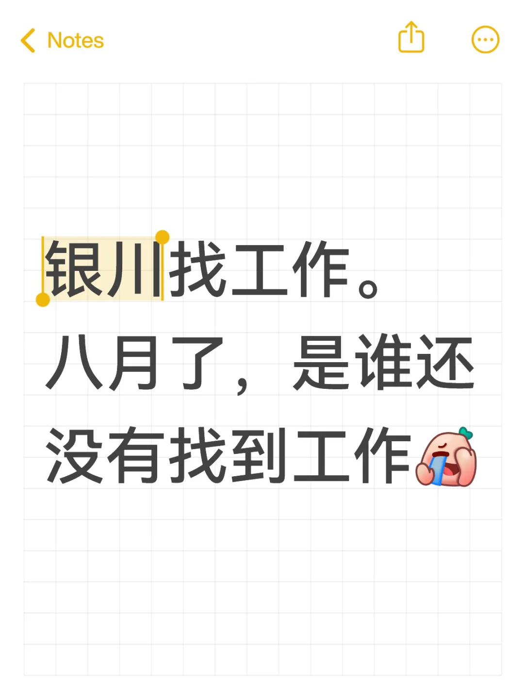 银川的神仙工作到底谁在干呀~