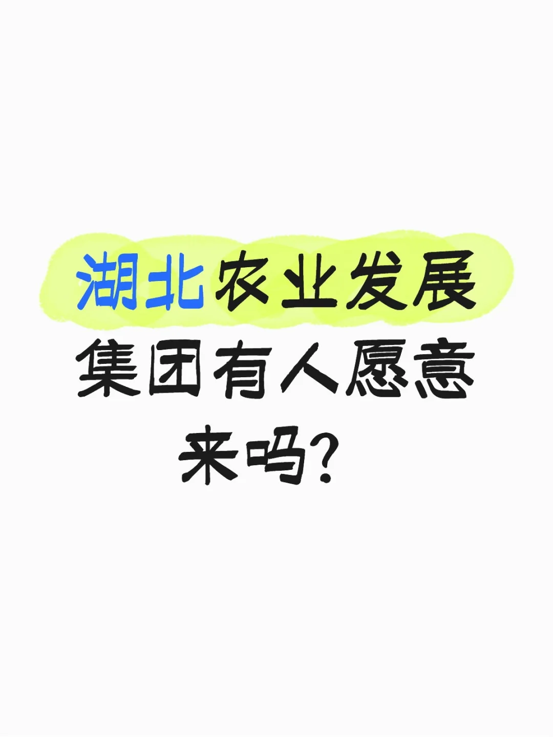 湖北农业发展集团有人愿意来吗？