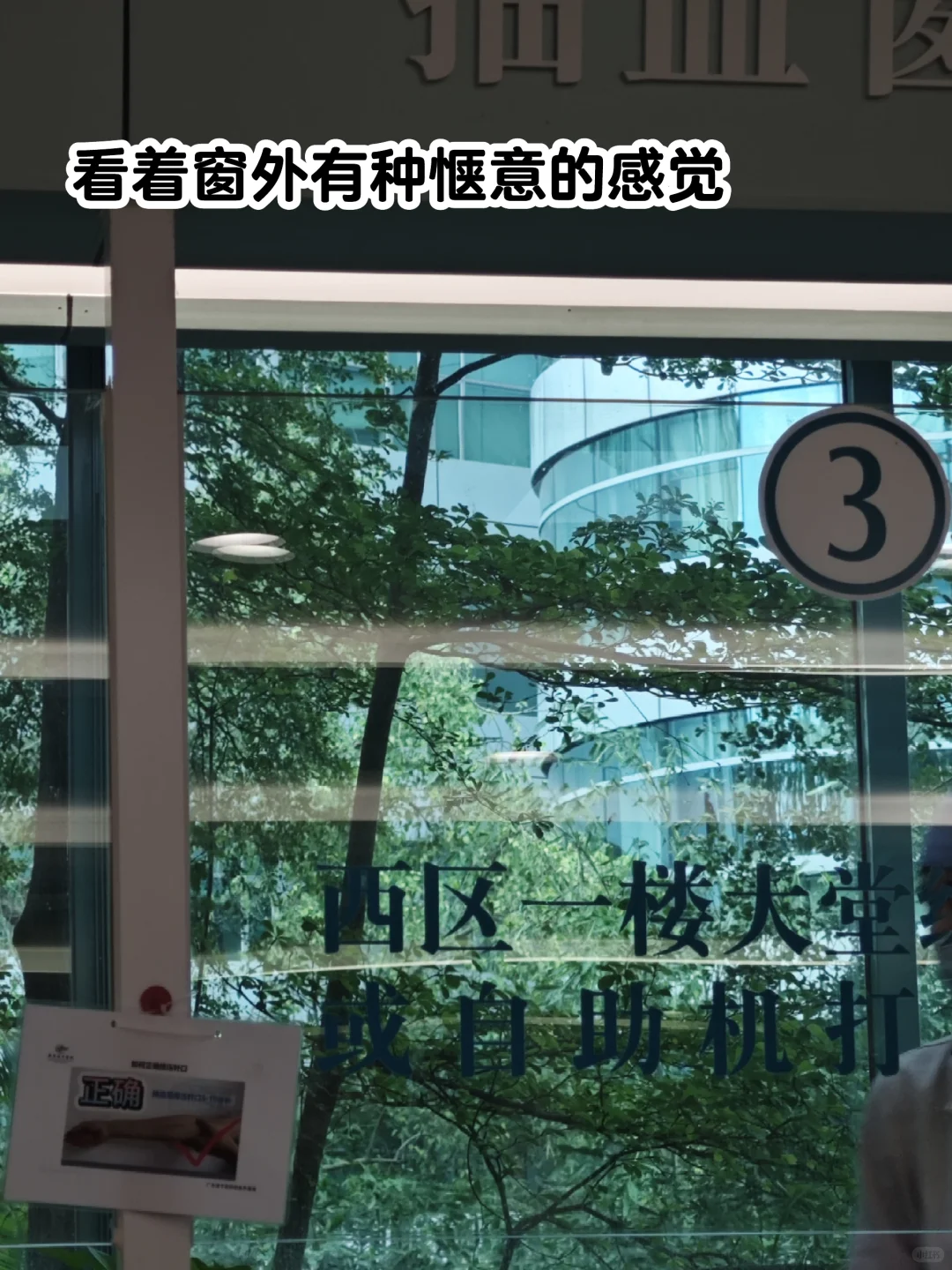社工实习生都在做什么项目？