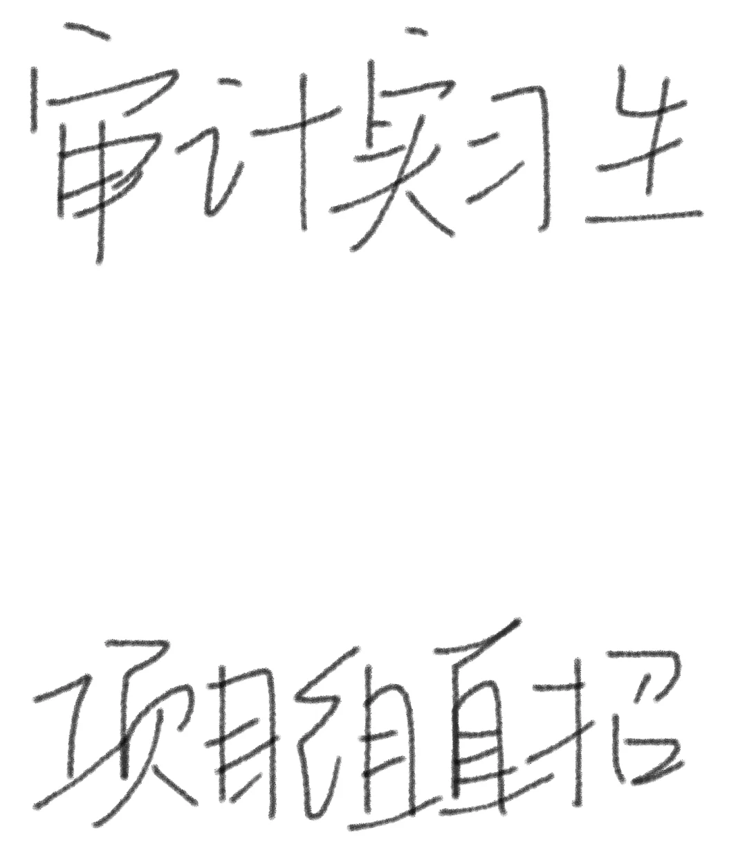 八大年审实习-项目组直招