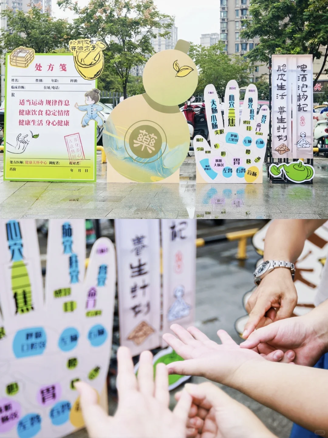 重阳节活动这么做|一场趣味中式养生局