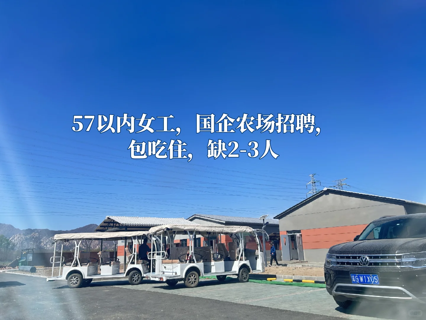 国企农场招聘女工2-3人