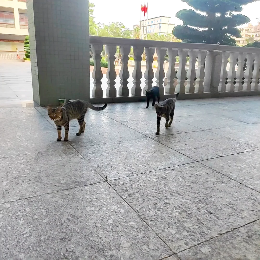 实习第一周