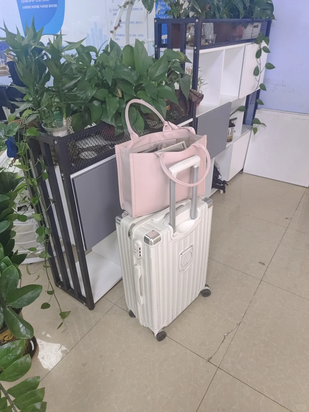 中山西区公司直招8k-12k工资十天一发