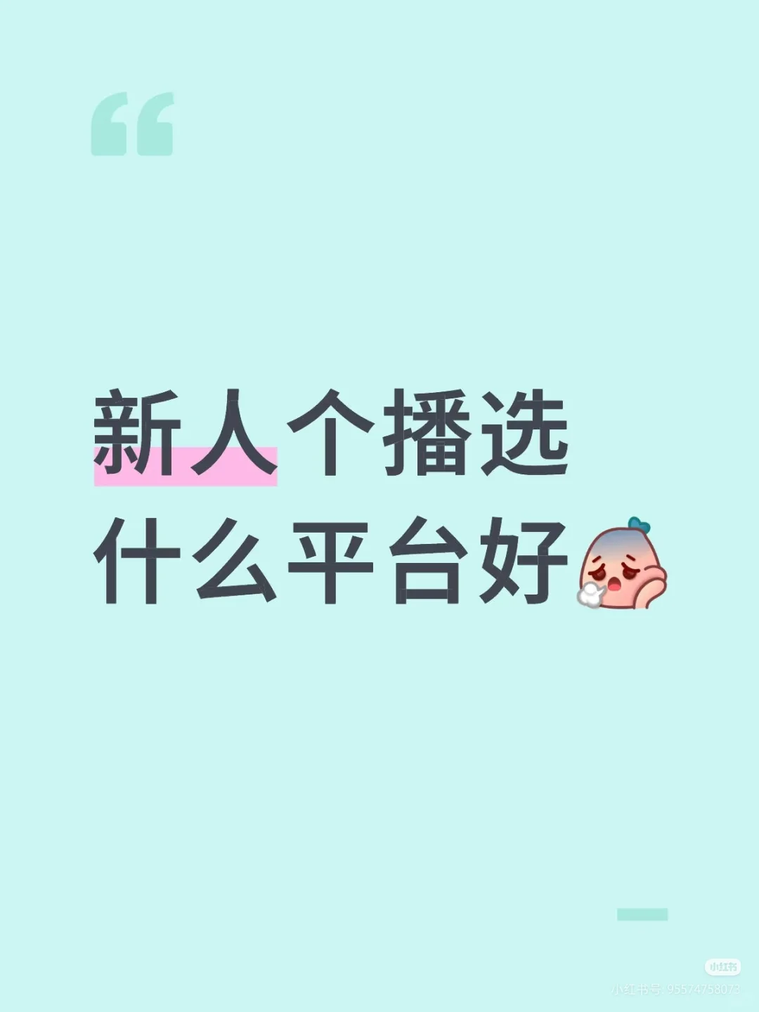 新人个播选怎么选
