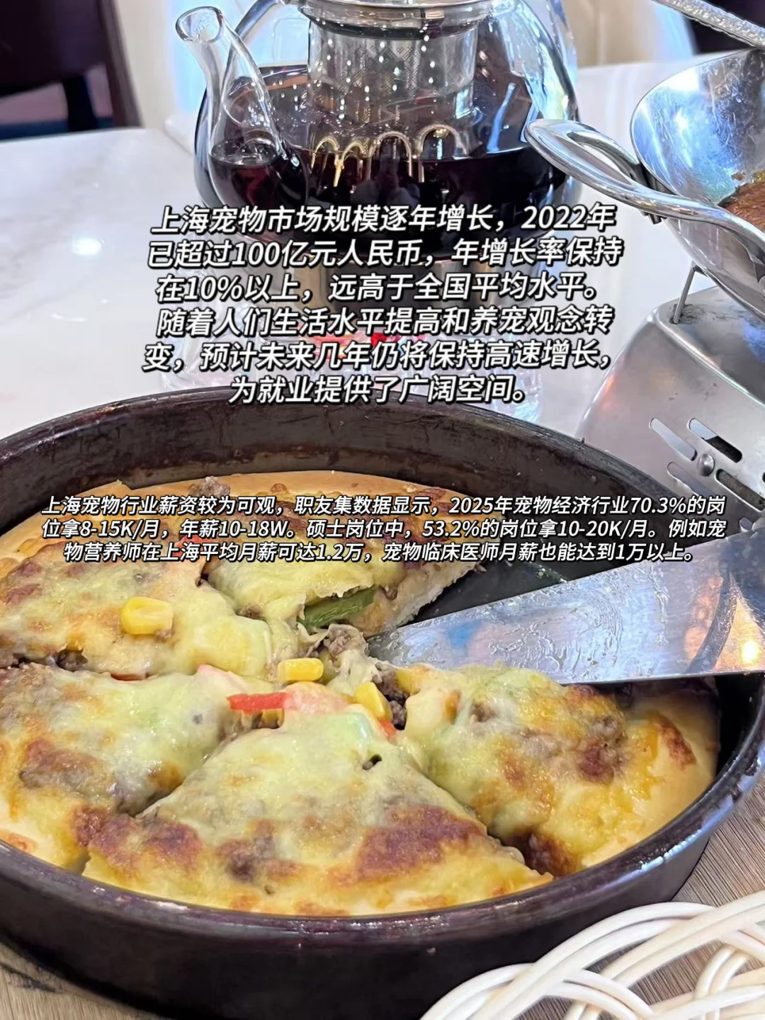 上海双休 | 宠物行业公司合集