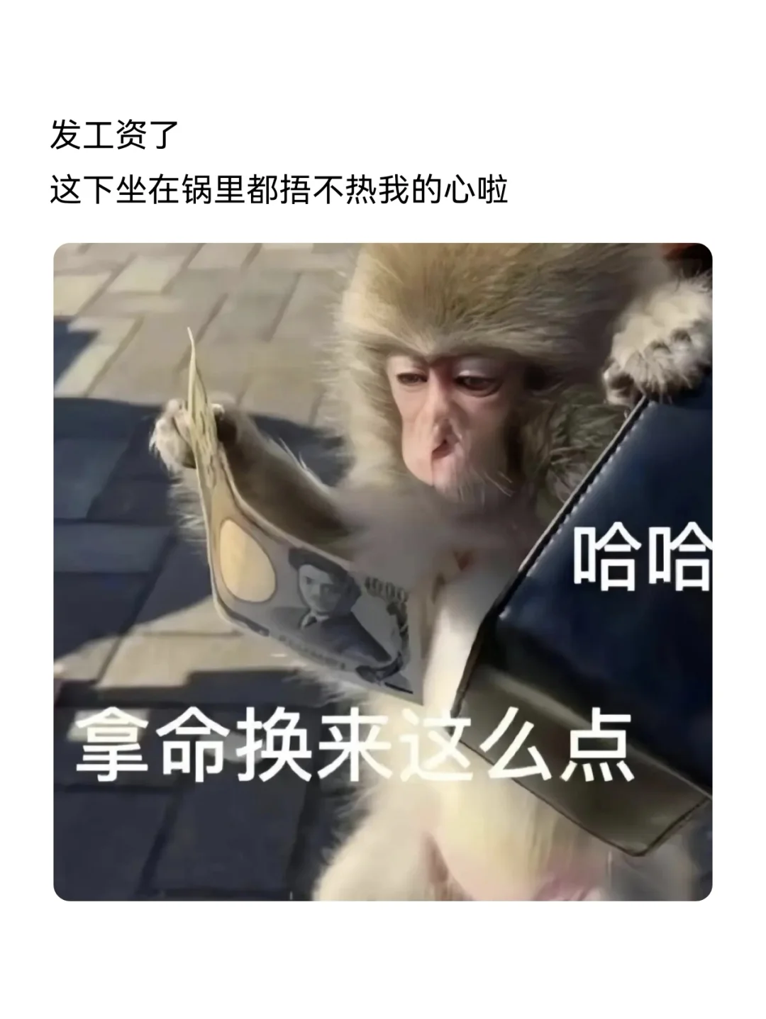 发工资这样发，去笑死你的朋友圈