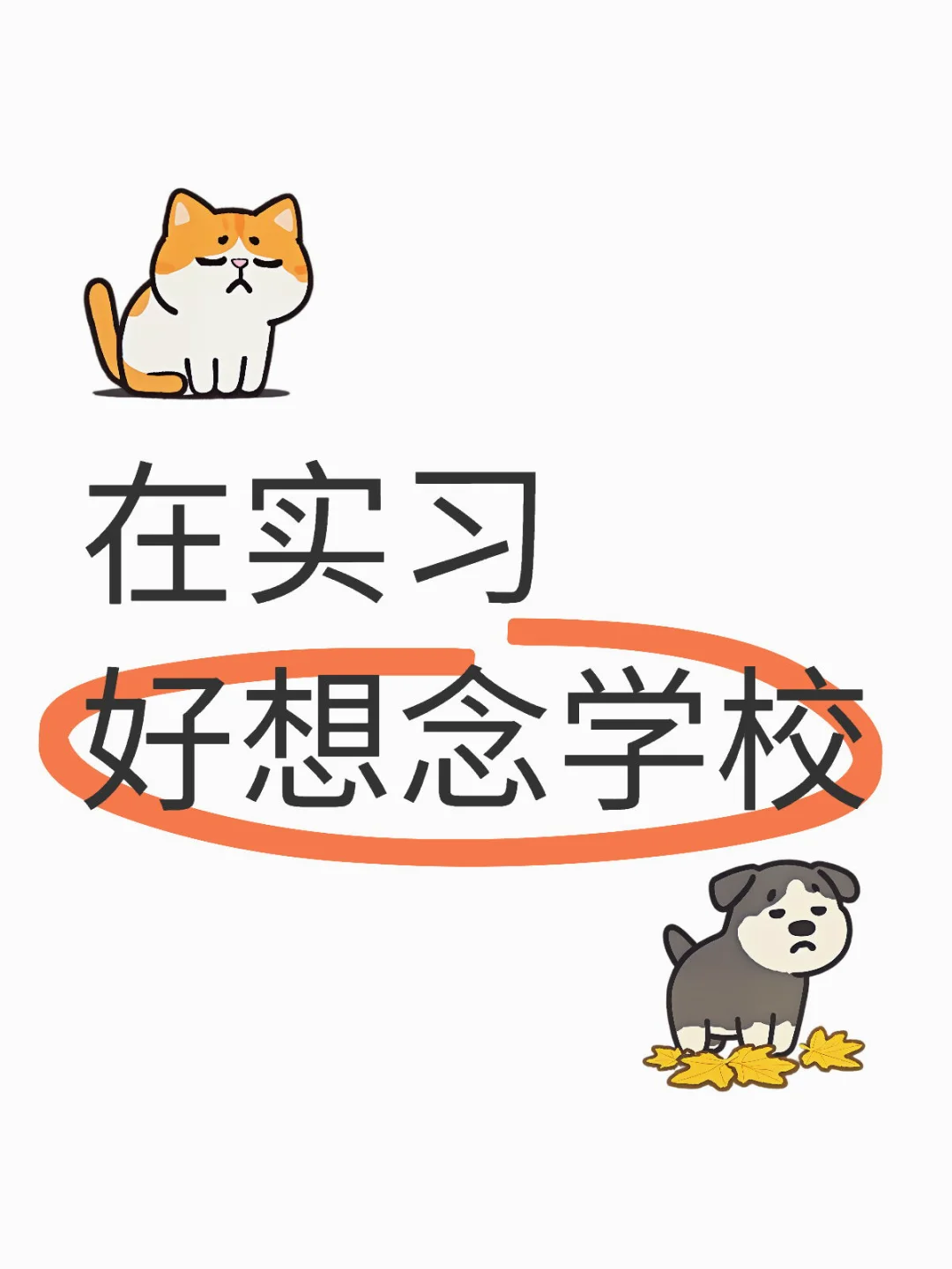 在实习 好想念学校