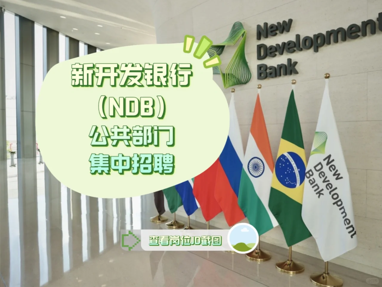 对青年人才友好，NDB公共部门开放JP & YP岗