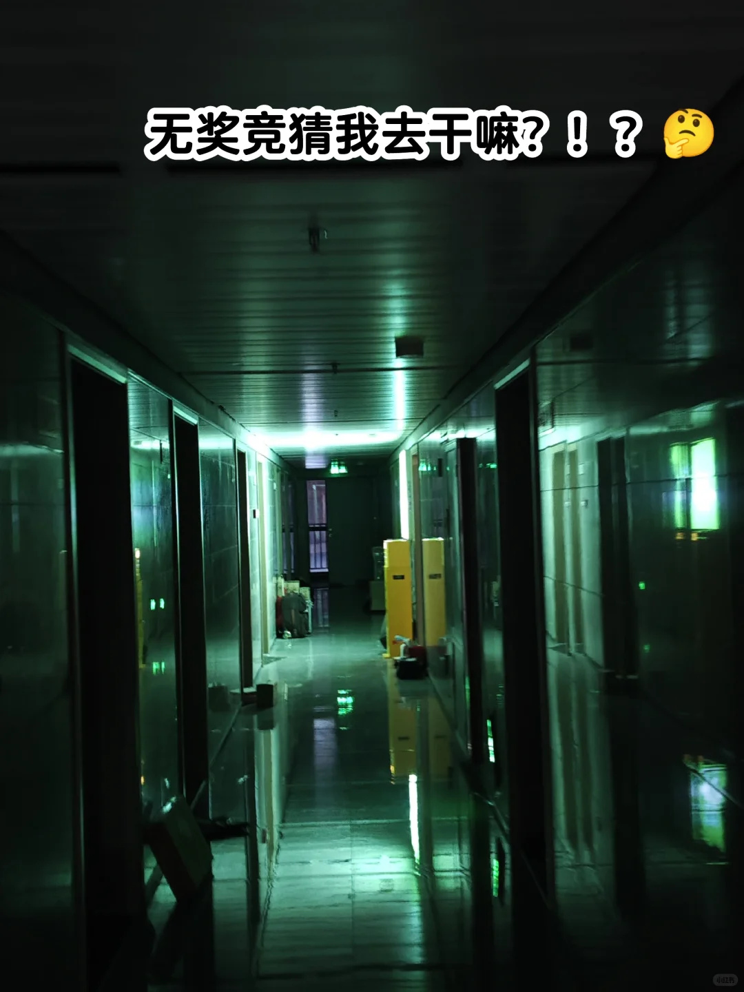 社工实习生都在做什么项目？