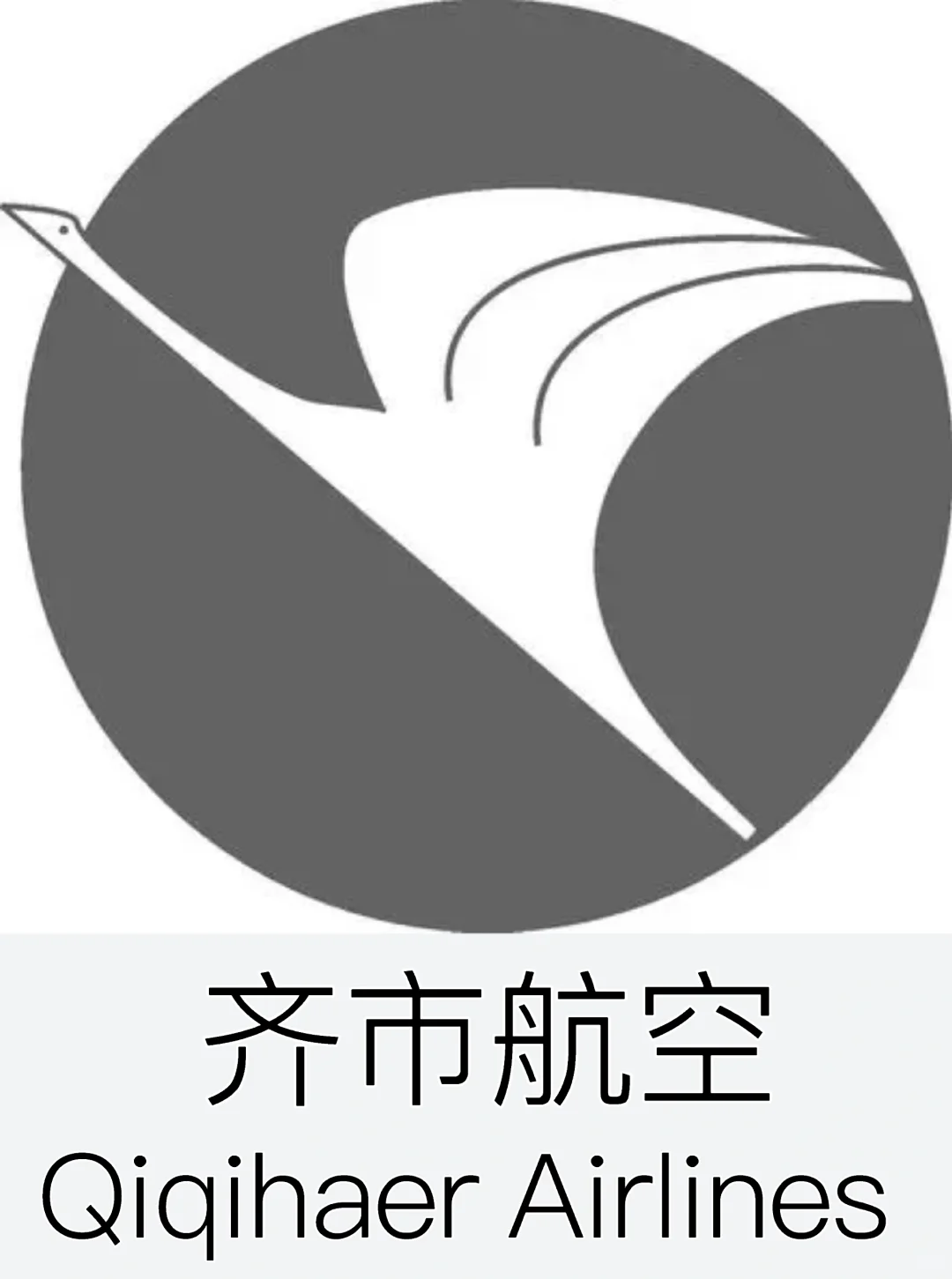 齐市航空成立