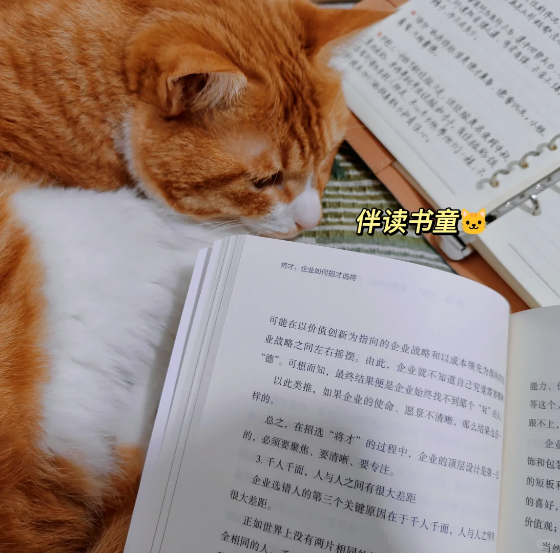 《将才》终于读完啦！