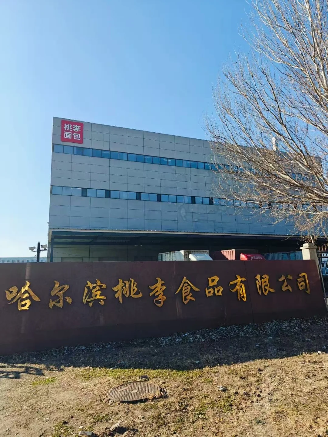哈尔滨桃李招聘喽！！！