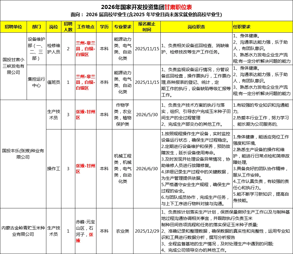 2026年国投集团招聘甘肃职位表10人