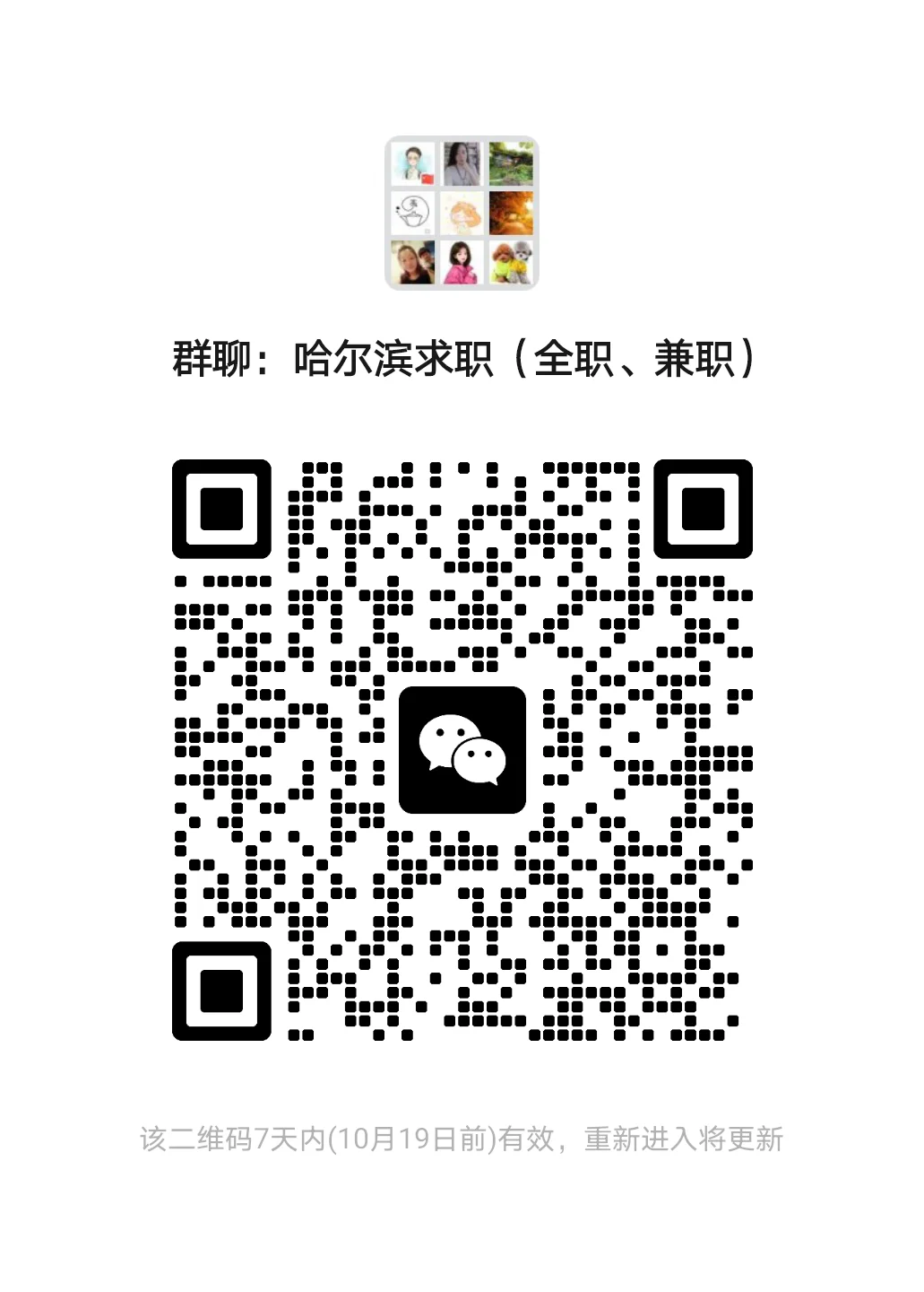 发福利啦！！！