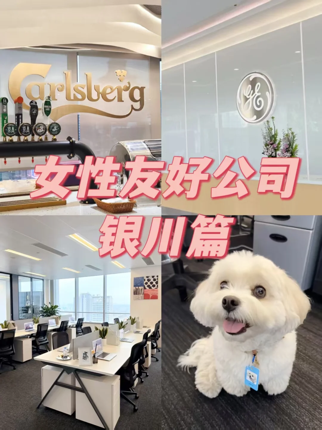 女性友好公司 银川篇